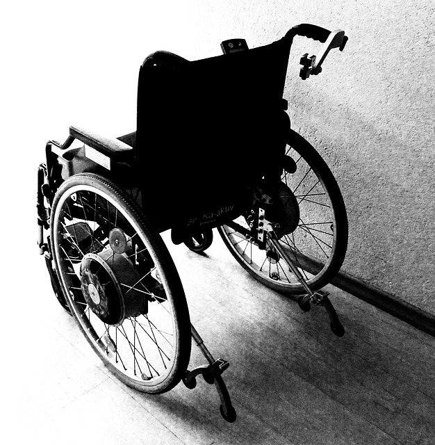 La Loi canadienne sur l'accessibilité est adoptée | CDÉACF